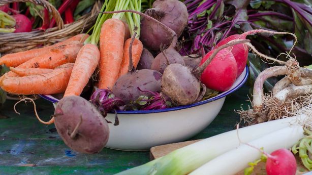 plant based food