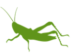 grasshopper grasshopper