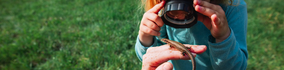 a child looks at a lizard with a magnifying glass